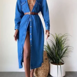 Button Detailed Denim Dress